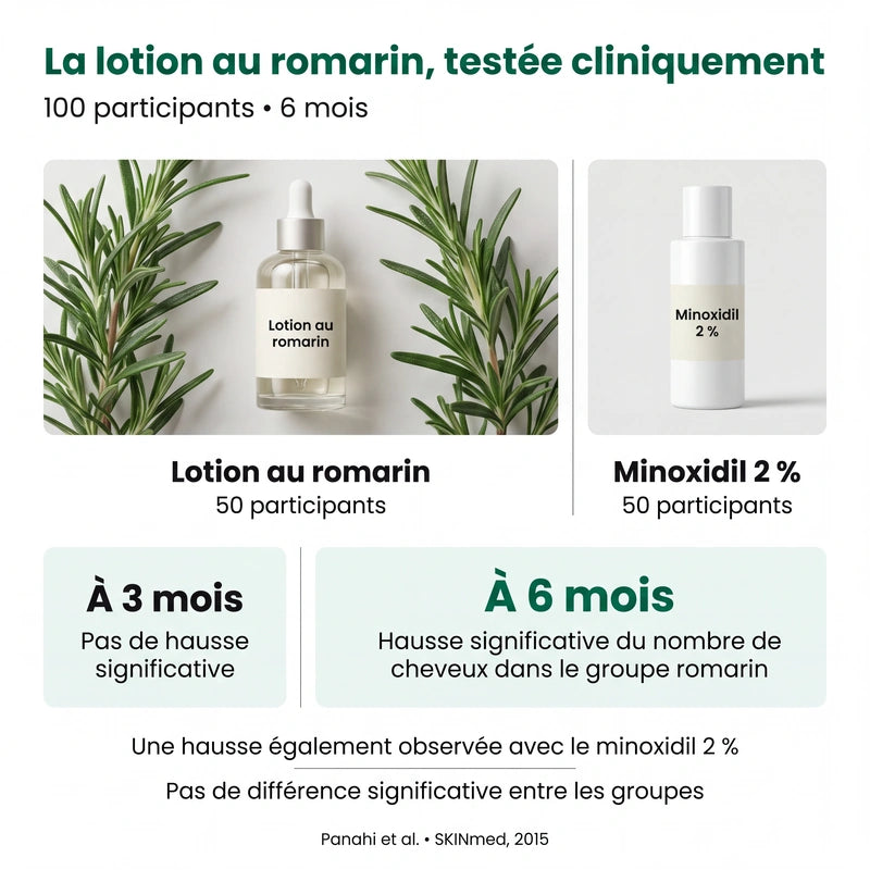 La lotion au romarin, testée cliniquement : 100 participants répartis en deux groupes de 50, suivis pendant six mois. À trois mois, pas de hausse significative ; à six mois, hausse significative du nombre de cheveux avec la lotion au romarin, également observée avec le minoxidil à 2 %, sans différence significative entre les groupes. Source : Panahi et al., SKINmed, 2015.
